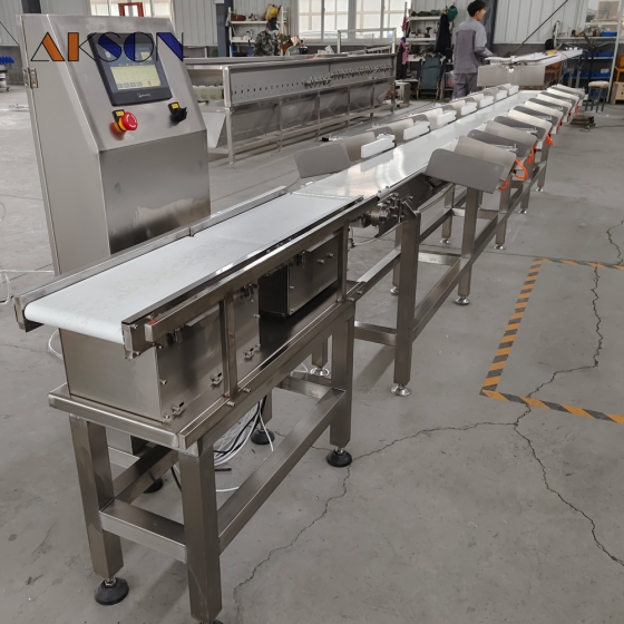 Client Showcase for Fish Grading Machine